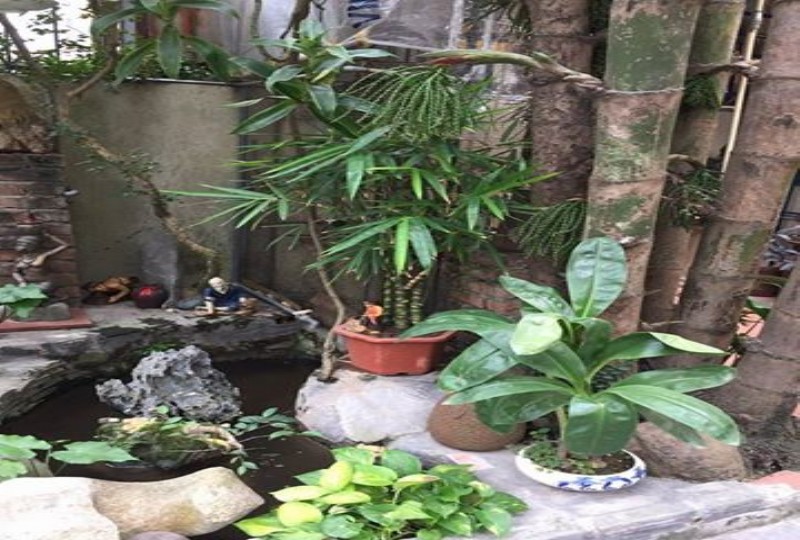 Bán nhà riêng Lạc Long Quân, Tây Hồ, Hà nội- 9.6 tỷ 8