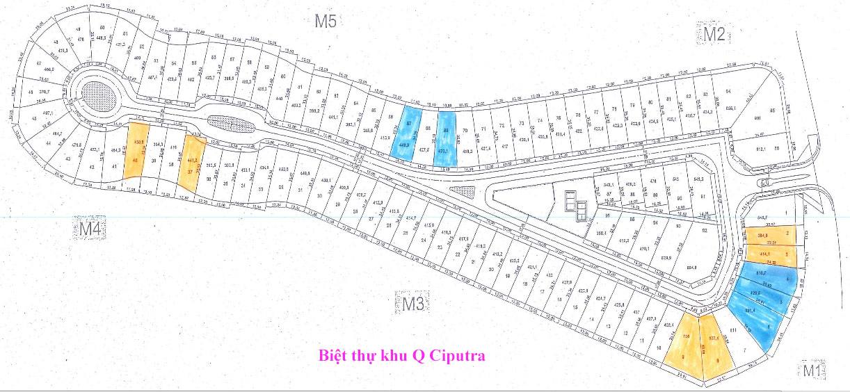 mặt bằng Khu Q Ciputra